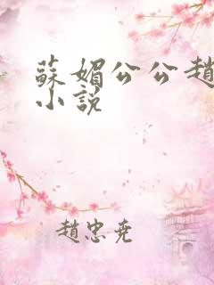 苏媚公公赵大宝小说