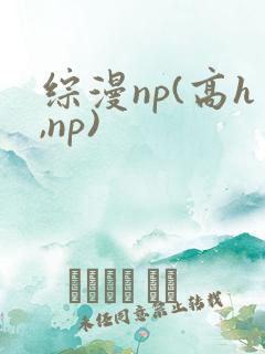 综漫np(高h,np)