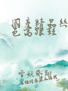 国产精品丝袜黑色高跟鞋