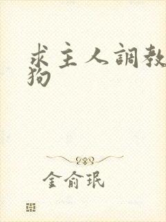 求主人调教骚母狗