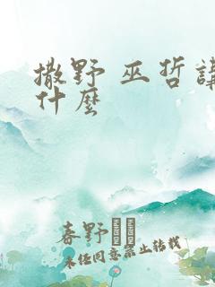 撒野 巫哲讲的什么