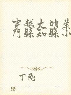 穿越大明叶青雁门县知县小说