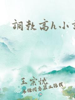 调教高h小说