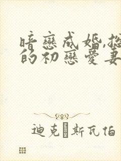 暗恋成婚,总裁的初恋爱妻免费阅读