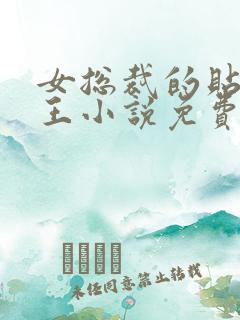 女总裁的贴身兵王小说免费阅