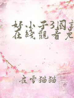 好小子3国语版在线观看免费观看