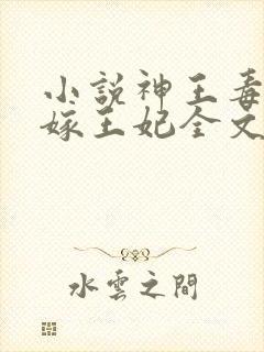 小说神王毒宠二嫁王妃全文
