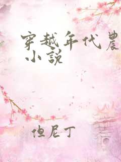 穿越年代农家女 小说