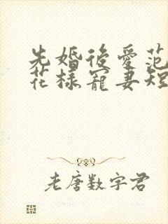 先婚后爱范总的花样宠妻短剧
