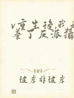 v重生后,我娇养了反派摄政王