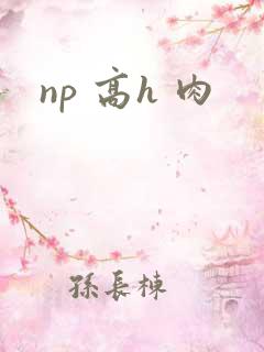 np 高h 肉