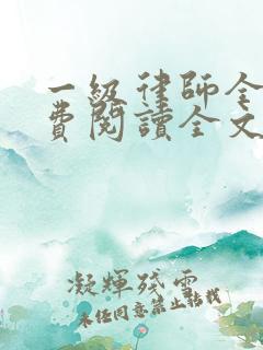 一级律师全文免费阅读全文