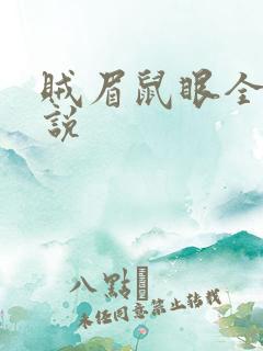 贼眉鼠眼全部小说