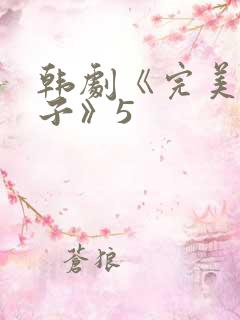 韩剧《完美的妻子》5