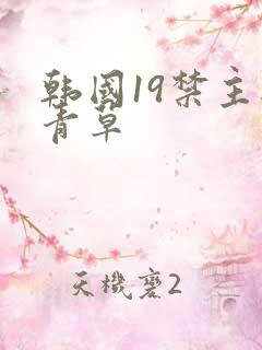 韩国19禁主播青草