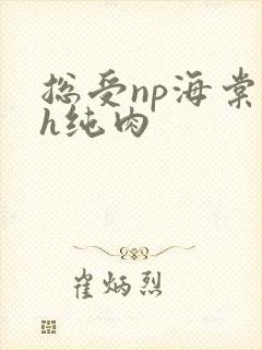 总受np海棠高h纯肉