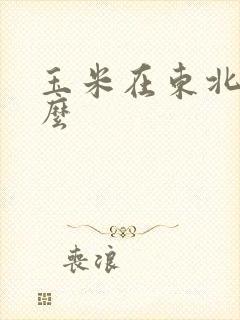 玉米在东北叫什么