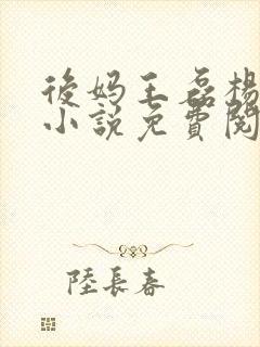 后妈王磊杨晓芬小说免费阅读