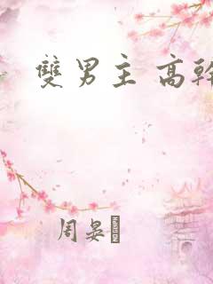 双男主 高干文