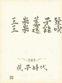 玉米叶子发霉了玉米还能吃吗 玉米叶子发霉了玉米还能吃吗