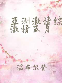 亚洲激情综合网激情五月