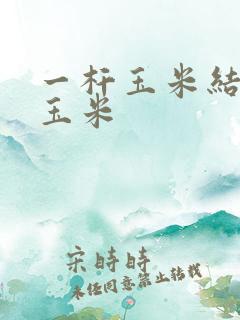 一杆玉米结几个玉米