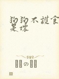狗狗不护食是好是坏