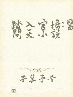 踏入官场:医道问天小说