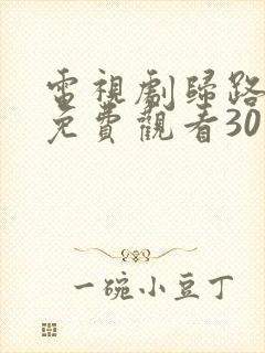 电视剧归路全集免费观看30集高清