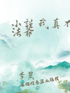 小说 我真不是法爷
