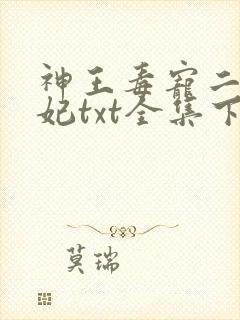 神王毒宠二嫁王妃txt全集下载