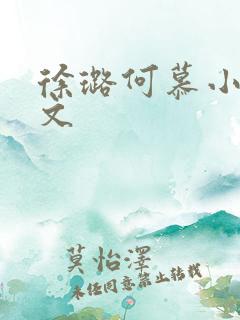 徐璐何慕小说全文