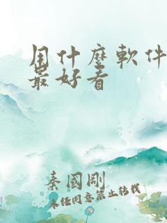 用什么软件p图最好看