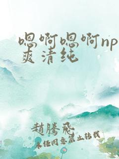 嗯啊嗯啊np好爽清纯