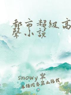 都市超级高手有声小说
