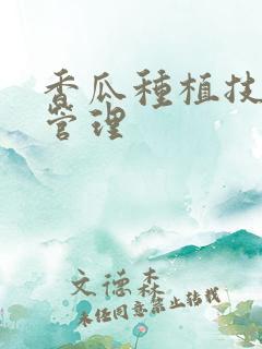 香瓜种植技术与管理