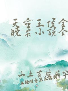 天命王侯金锋关晓柔小说全集完整版txt