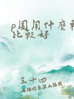 p图用什么软件比较好