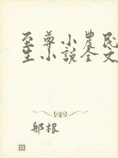 至尊小农民王木生小说全文免费阅读