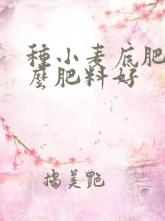 种小麦底肥用什么肥料好
