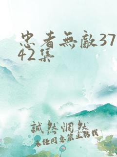 忠者无敌37到42集