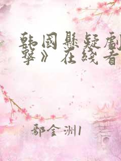 韩国悬疑剧《目击》在线看
