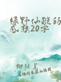 绿野仙踪的读后感想20字