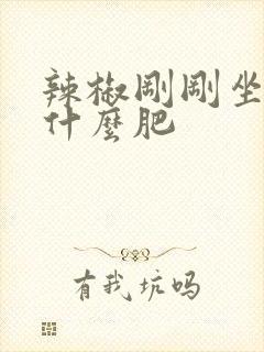 辣椒刚刚坐果施什么肥
