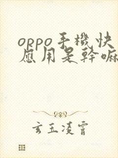 oppo手机快应用是干嘛的