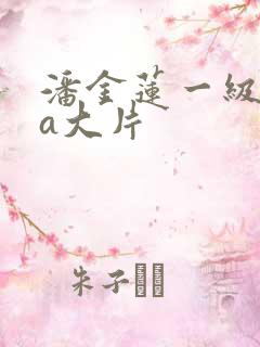 潘金莲一级特黄a大片