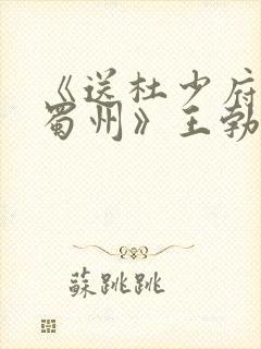 《送杜少府之任蜀州》王勃