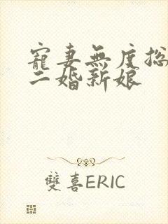 宠妻无度总裁的二婚新娘