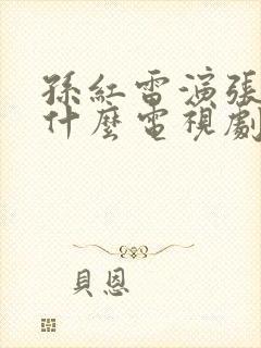 孙红雷演张三是什么电视剧