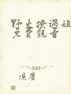 野火撩过姐姐心免费观看